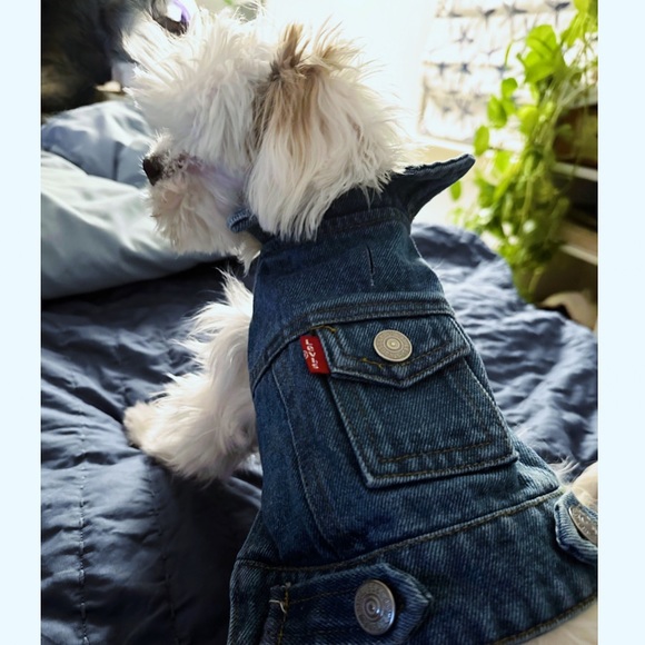 JUJUstars is Live - Join Us! 🌟 - Picture 9 of 14